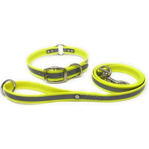Regal Dog Products Heavy Duty Reflective Center Ring Collar & 5ft Leash Set