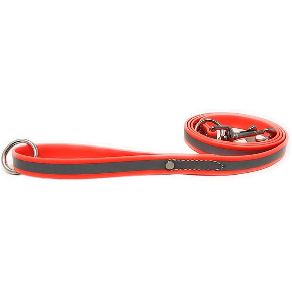 Regal Dog Products Reflective Leash – 5 ft. Dog Leash with Easy to Use Collar Hook, Lightweight, and Training Pet Lead
