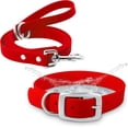 thumbnail image 1 of Regal Dog Products Small Red Waterproof Dog Collar and Leash Set | Heavy Duty Double Buckle & D Ring - 5'ft Leash | Adjustable Biothane Dog Collar | Chew Resistant Waterproof Collar for Dogs, 1 of 9