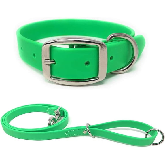 Regal Dog Products Small Light Green Waterproof Dog Collar and Leash Set | Heavy Duty Double Buckle & D Ring - 5'ft Leash | Adjustable Biothane Dog Collar