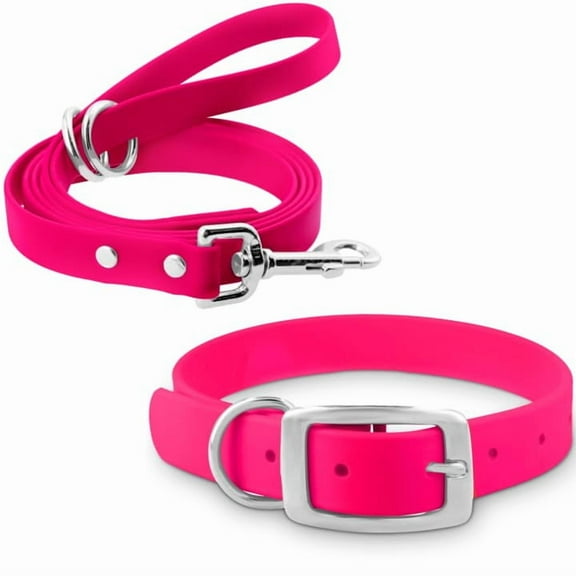 Regal Dog Products Waterproof Collar & 5ft Leash Set Heavy Duty Biothane