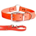 thumbnail image 1 of Regal Dog Products Waterproof Collar & Leash Set - Heavy Duty Center Ring Collar & 5' Leash, 1 of 8