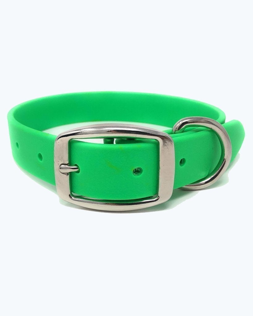 Regal Dog Products Waterproof Collar with Double Buckle and D Ring