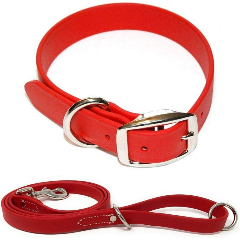 Regal Dog Products Waterproof Collar 5ft Leash Set Heavy Duty