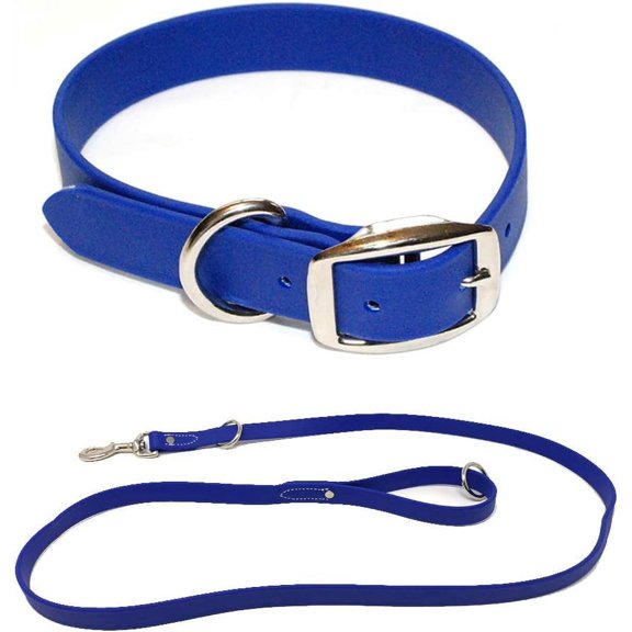 Regal Dog Products Waterproof Collar & 5ft Leash Set Heavy Duty Biothane
