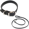 thumbnail image 1 of Regal Dog Products Waterproof Collar & 5ft Leash Set Heavy Duty Biothane, 1 of 7