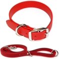 thumbnail image 1 of Regal Dog Products Waterproof Collar & 5ft Leash Set Heavy Duty Biothane, 1 of 8