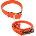 thumbnail image 1 of Regal Dog Products Waterproof Collar & 5ft Leash Set Heavy Duty Biothane, 1 of 8