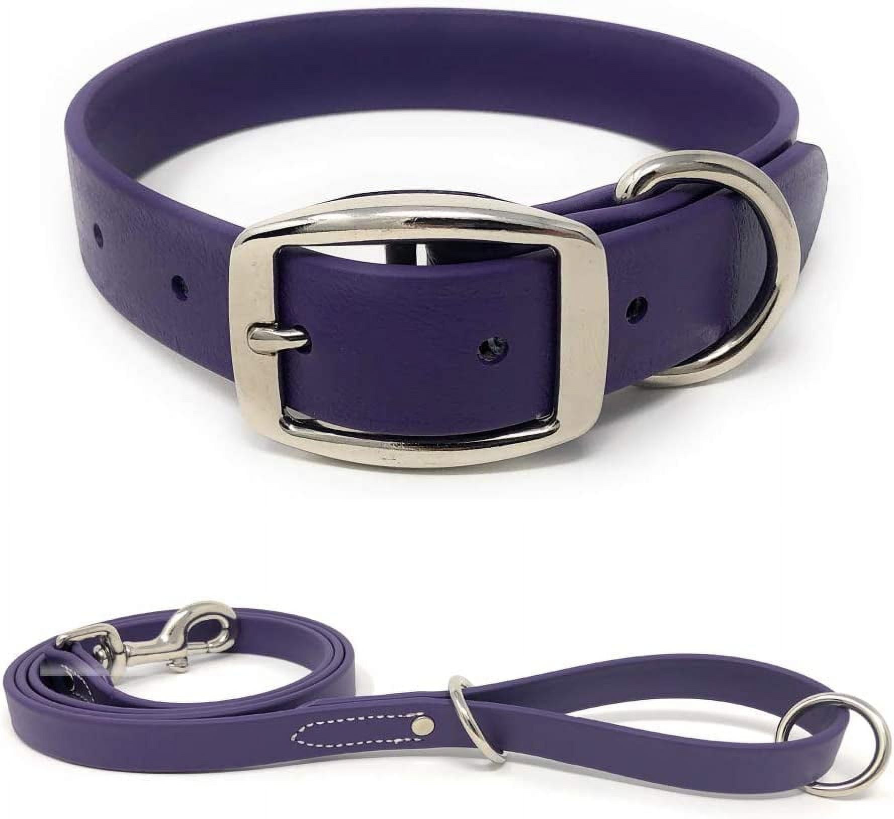  Regal Dog Products Nylon Dog Collar with Metal Buckle, for  Small, Medium, and Large Dogs, Blue Collar for Male Dog