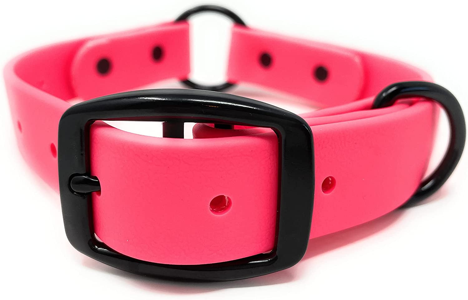 Regal Dog Products Waterproof Dog Collar with Black Hardware Water