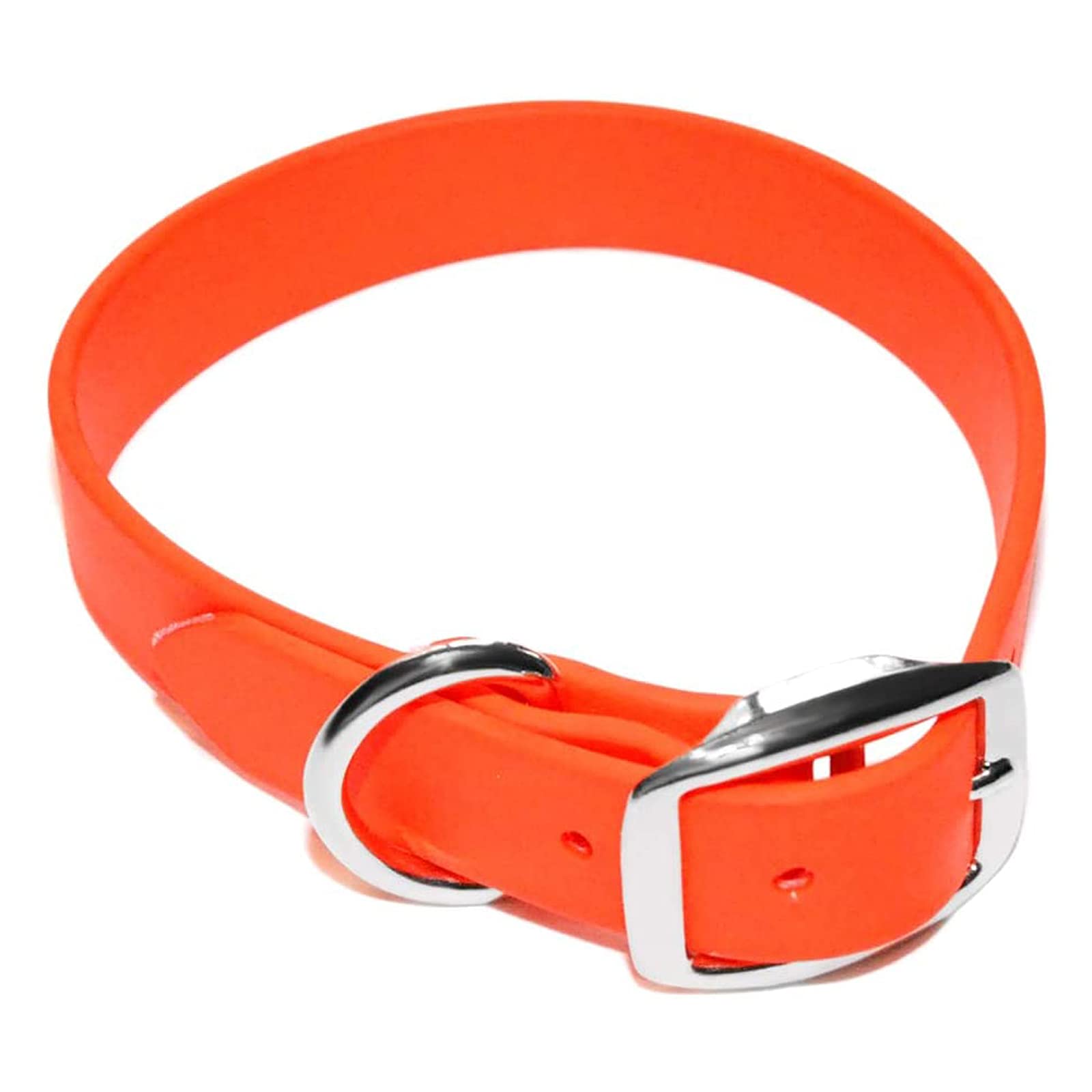 Medium Red Dog Collar with Welded DRing Buckle