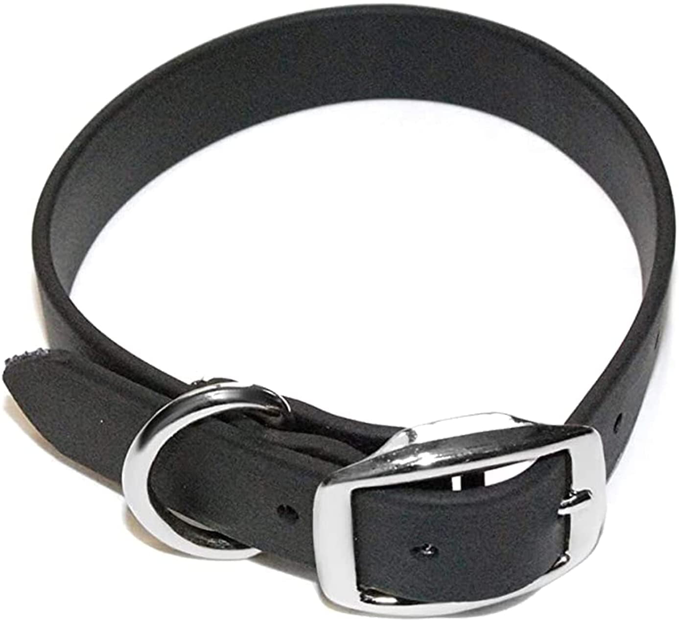Regal Dog Products Waterproof Dog Collar with Double Buckle and D Ring