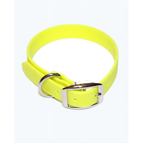 Regal Dog Products Waterproof Collar with Double Buckle and D Ring