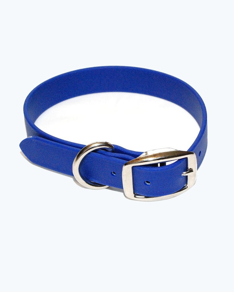 Regal Dog Products Waterproof Dog Collar with Double Buckle and D Ring