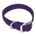 thumbnail image 1 of Regal Dog Products Waterproof Collar with Double Buckle and D Ring, 1 of 8