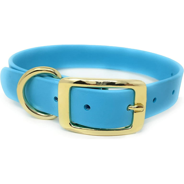 Regal Dog Products Waterproof Dog Collar with Gold Hardware
