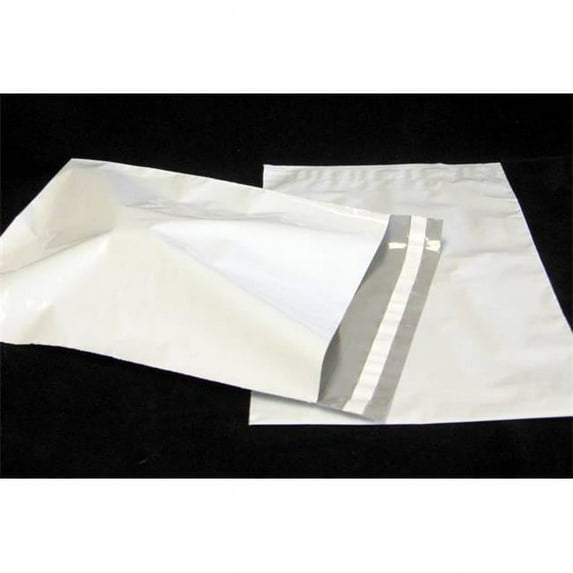 Regal Envelope EO13 10X13+2 in. - Muscle-Pak Mailer - 500 per carton