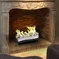 thumbnail image 1 of Regal Flame 24" Ethanol Fireplace Log Set With Burner Insert From Gas Logs Birch, 1 of 7