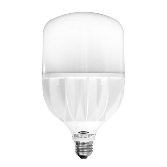 Regal Light RT640 Medium Base General Purpose 40-Watt Equivalent to 300-Watt Light Bulb, Daylight