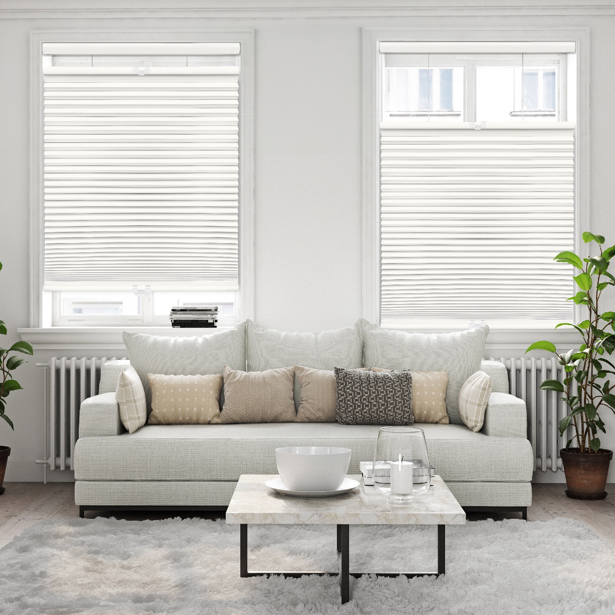 Regal Living Top Down Bottom Up Blackout Cordless Cellular Shade, Ivory - 63.5" W x 84" L
