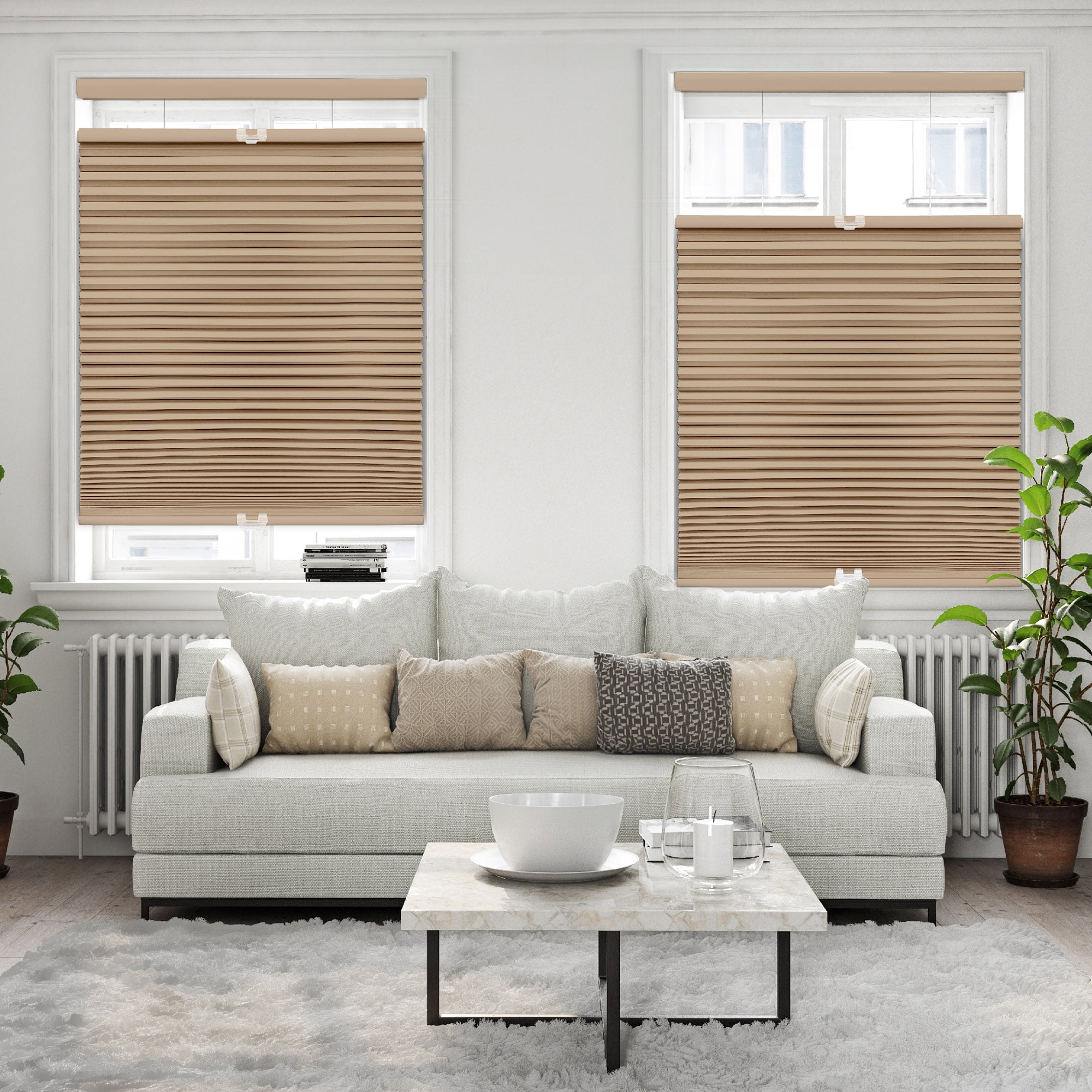 Regal Living Top Down Bottom Up Blackout Cordless Cellular Shade, Latte - 21.5" W x 64" L