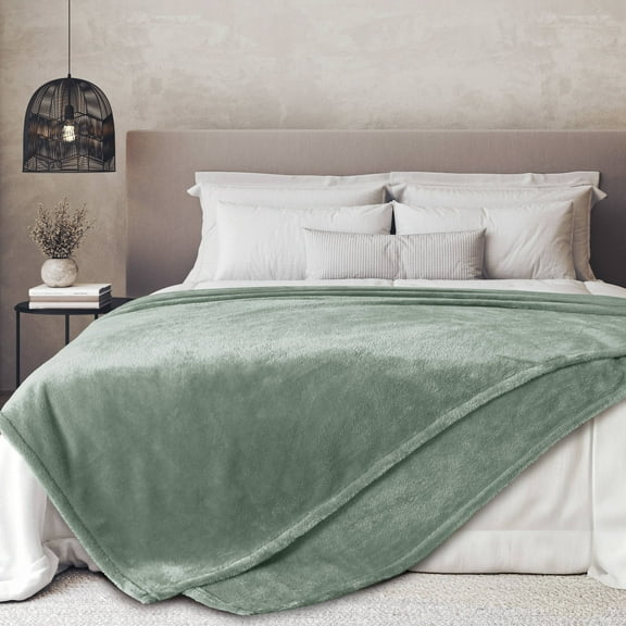 Regal Living Ultra Soft Plush Fleece Blanket, Double-Sided Cozy Warm Queen, Sage, 92" x 90"