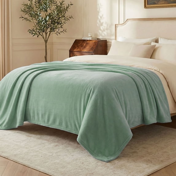 Regal Living Ultra Soft Plush Velvet Throw Blanket , Sage Green, Full/Queen Size ,90'' x 90''