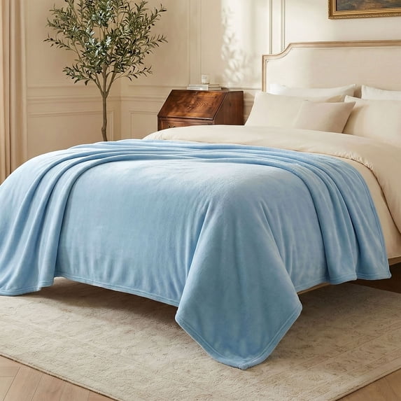 Regal Living Ultra Soft Plush Velvet Throw Blanket, Light Blue, Twin Size , 66'' x 90''