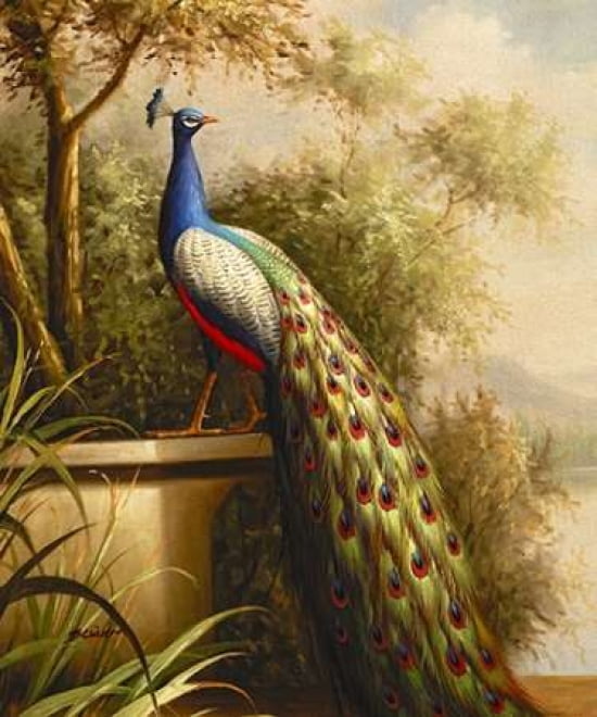 Regal Peacock Canvas Art - Blum (20 x 24)