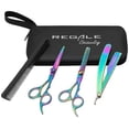 thumbnail image 1 of Regale Frazier Pro Rainbow Finish Haircutting Thinning Razor and Comb Kit, 1 of 5
