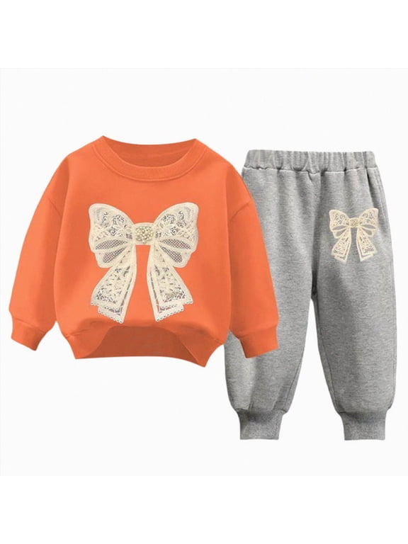 Toddler Girl Clothes Long Sleeve Top and Pants with Pockets Set 2 Piece Kids Girls Fall Winter Outfit Size 2-3 Years