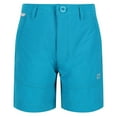 thumbnail image 1 of Regatta Boys/Girls Highton Walking Shorts, 1 of 5