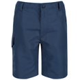 thumbnail image 1 of Regatta Boys/Girls Sorcer II Shorts, 1 of 4