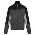 thumbnail image 1 of Regatta Mens Coladane VI Marl Full Zip Fleece Jacket, 1 of 5