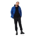 thumbnail image 1 of Regatta Mens Falkner Padded Jacket, 1 of 6