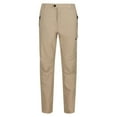 thumbnail image 1 of Regatta Mens Highton Water Repellent Hiking Pants, 1 of 2