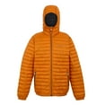 thumbnail image 1 of Regatta Mens Hurden Padded Jacket, 1 of 5