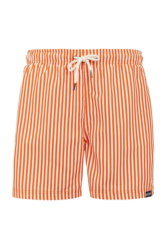 Mens Loras Stripe Swim Shorts