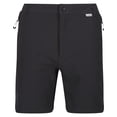 thumbnail image 1 of Regatta Mens Mountain II Shorts, 1 of 4