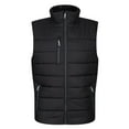 thumbnail image 1 of Regatta Professional Mens Thermal Body Warmer, 1 of 4