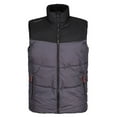 thumbnail image 1 of Regatta Professional Mens Insulated Body Warmer, 1 of 5