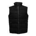 thumbnail image 1 of Regatta Mens Standout Altoona Insulated Bodywarmer Jacket, 1 of 4