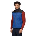 thumbnail image 1 of Regatta Mens Standout Altoona Insulated Bodywarmer Jacket, 1 of 3
