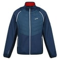 thumbnail image 1 of Regatta Mens Steren II Softshell Hybrid Jacket, 1 of 5