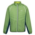 thumbnail image 1 of Regatta Mens Steren II Softshell Hybrid Jacket, 1 of 5