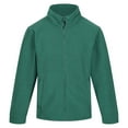 thumbnail image 1 of Regatta Mens Thor 300 Full Zip Fleece Jacket, 1 of 5