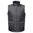 thumbnail image 1 of Regatta Professional Mens Quilted Body Warmer, 1 of 5