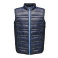 thumbnail image 1 of Regatta Professional Mens Firedown Insulated Bodywarmer, 1 of 4