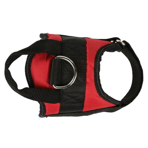 Regatta Reflective Dog Harness