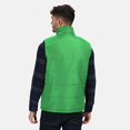thumbnail image 1 of Regatta Standout Mens Access Insulated Bodywarmer, 1 of 2